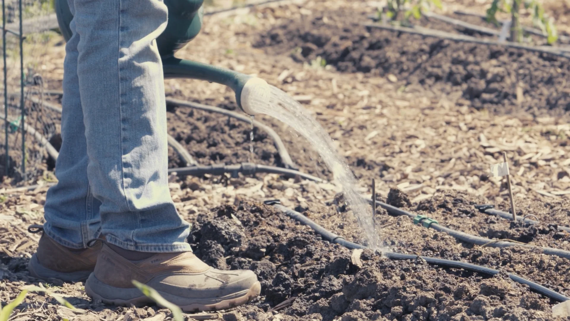 Los agricultores de la región norte enfrentaron dificultades para el ciclo otoño-invierno de siembra de sorgo