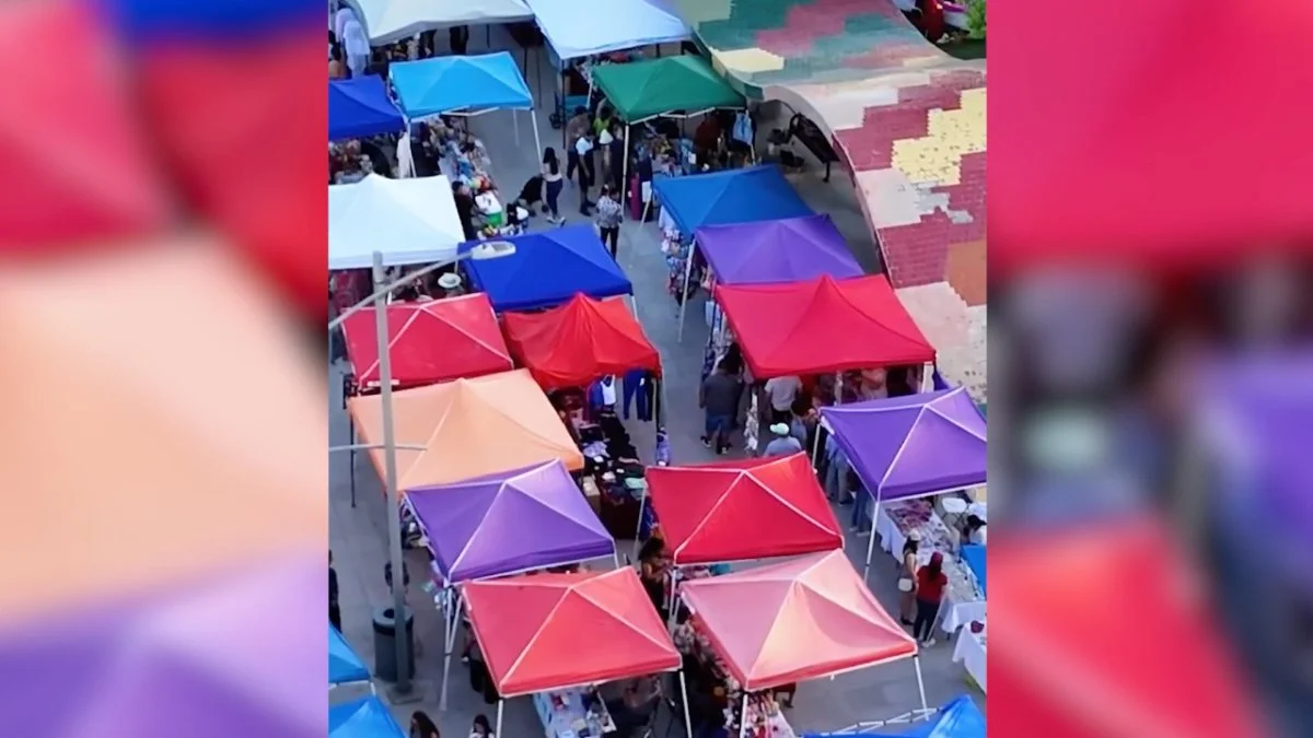 Proyecto iniciará este 29 de noviembre, el cual tendrá lugar en la plaza principal de la colonia Ejido Piedras Negras, dio a conocer Daladier González, coordinador de Fomento Económico