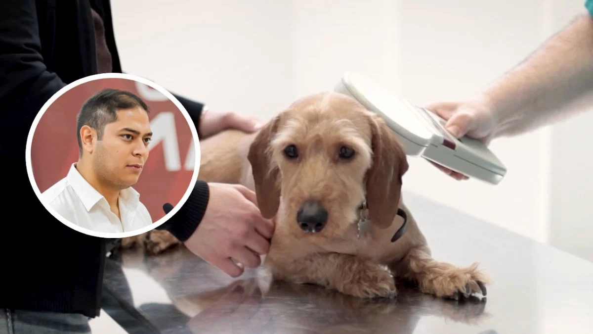 Se busca incorporar a veterinarias a la Red Oficial de Prestadores de Salud Animal, señaló Bernardo Márquez Sierra, asesor de este programa