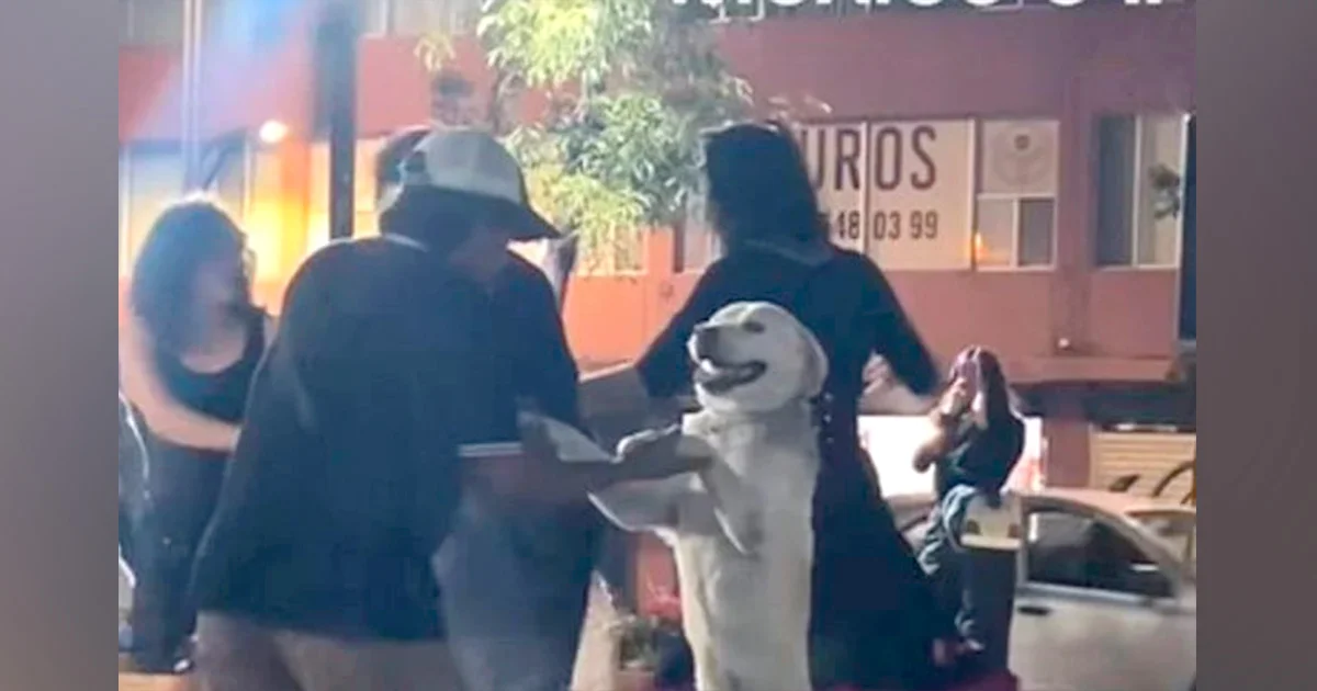 Este perrito se robó el corazón de todo TikTok por su energía y alegría mientras bailaba en un sonidero.