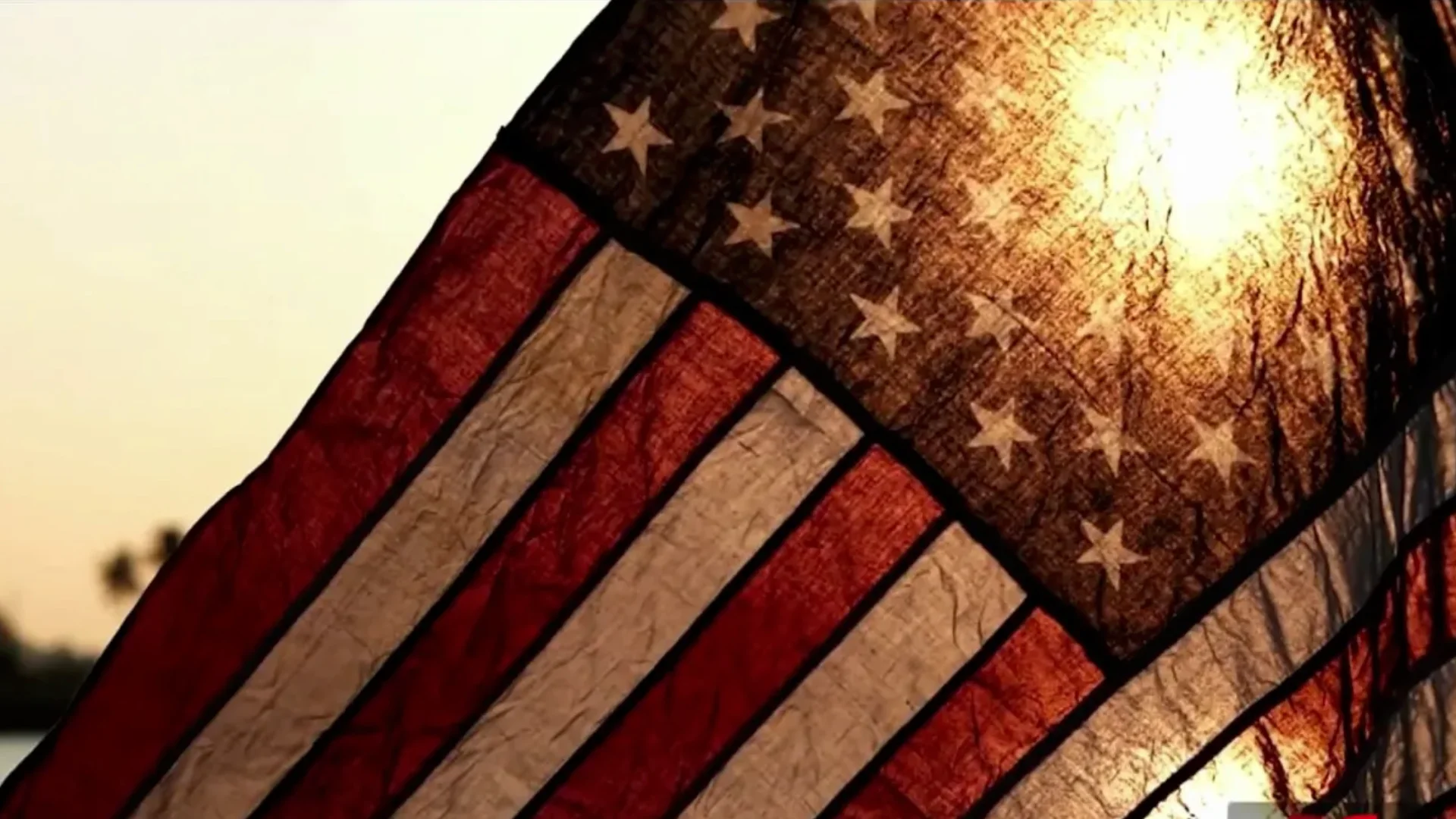 Historia y significado del Día de los Veteranos en Estados Unidos