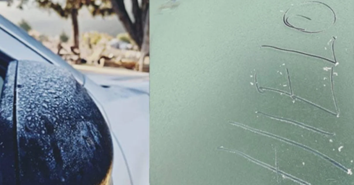 Heladas en la sierra de Arteaga desploman temperatura hasta los -3 grados