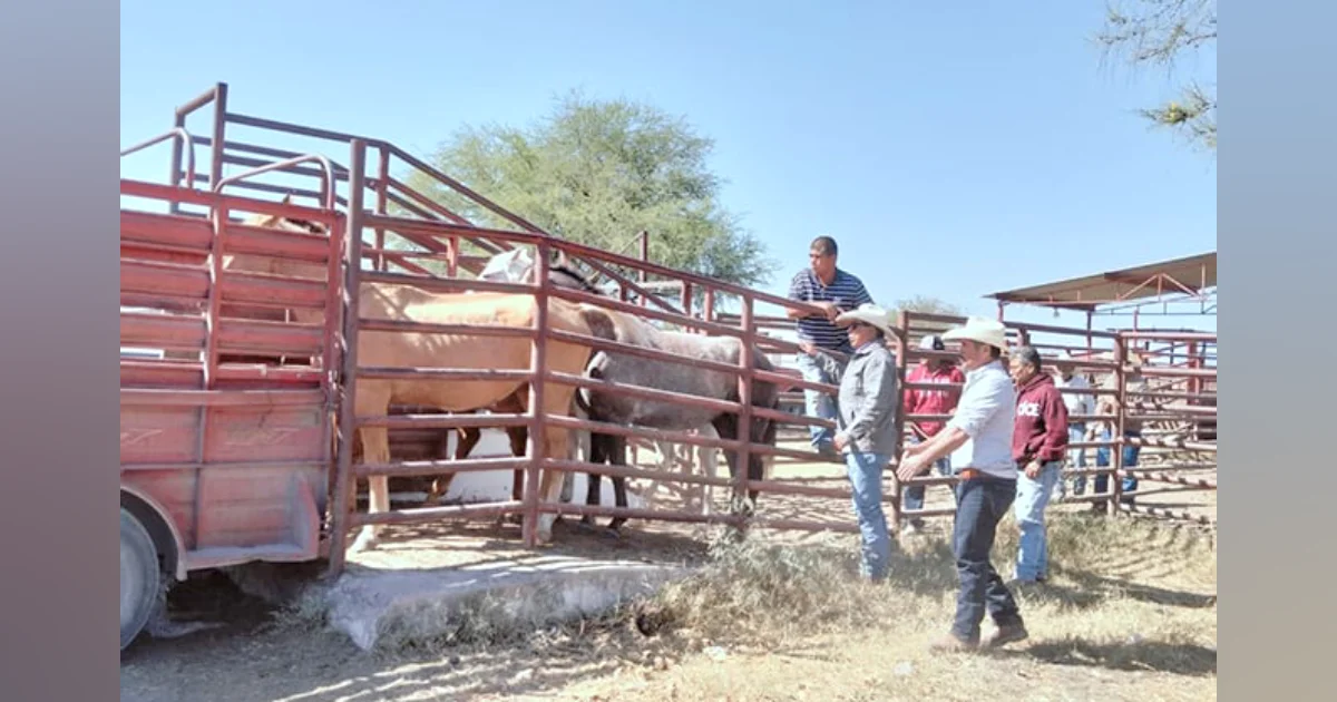 Ejidatarios de Santa María recuperaron este martes, los cuatro caballos que les habían robado el pasado fin de semana.
