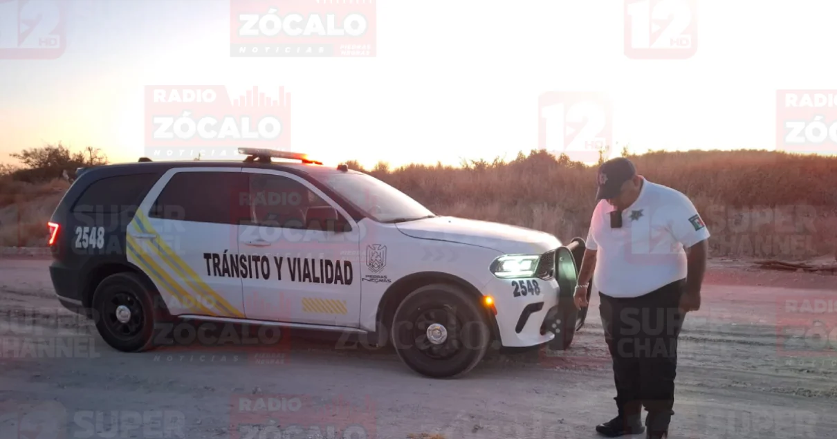 Las denuncias pueden presentarse en la comandancia municipal o a través de los canales de Protección Animal