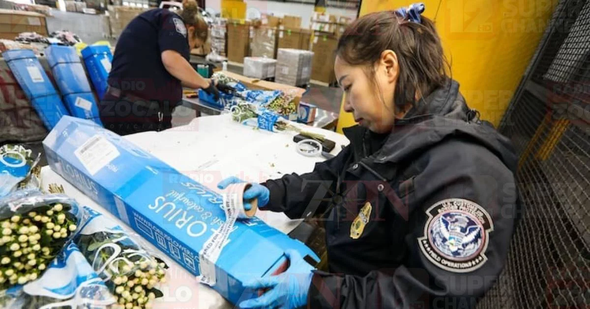 CBP alerta sobre mercancía falsa en compras navideñas