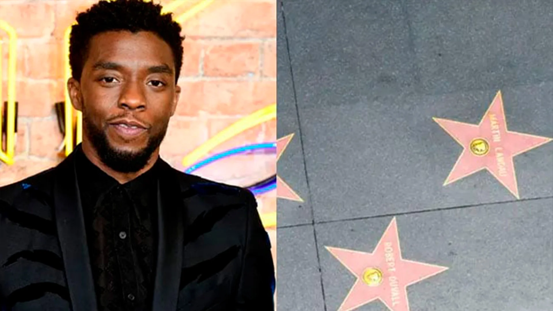 El actor de Black Panther será homenajeado con una estrella póstuma el 20 de noviembre. Su legado artístico y humano sigue inspirando el mundo.