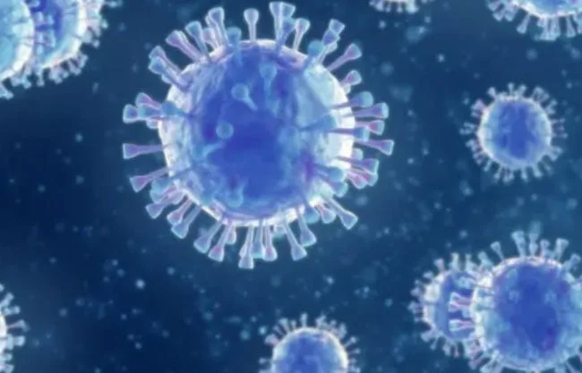 Confirma la Secretaría de Salud 23 muertes por sarampión en México