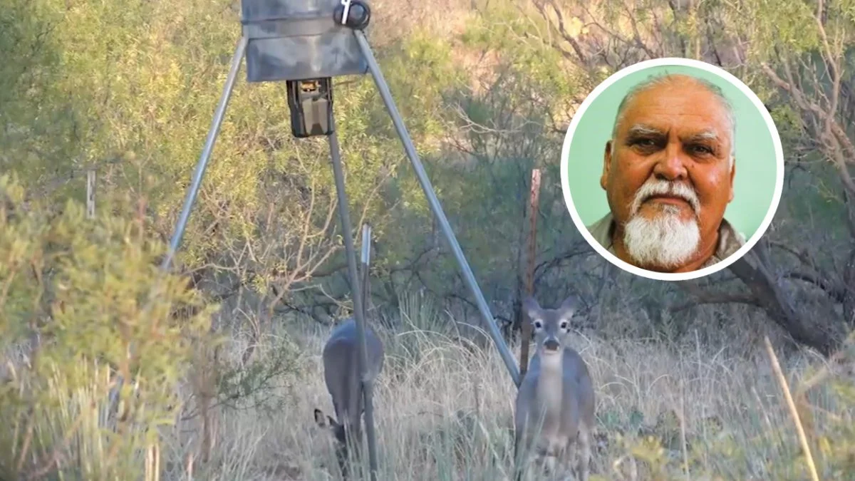Inicia este viernes temporada de caza de venado cola blanca
