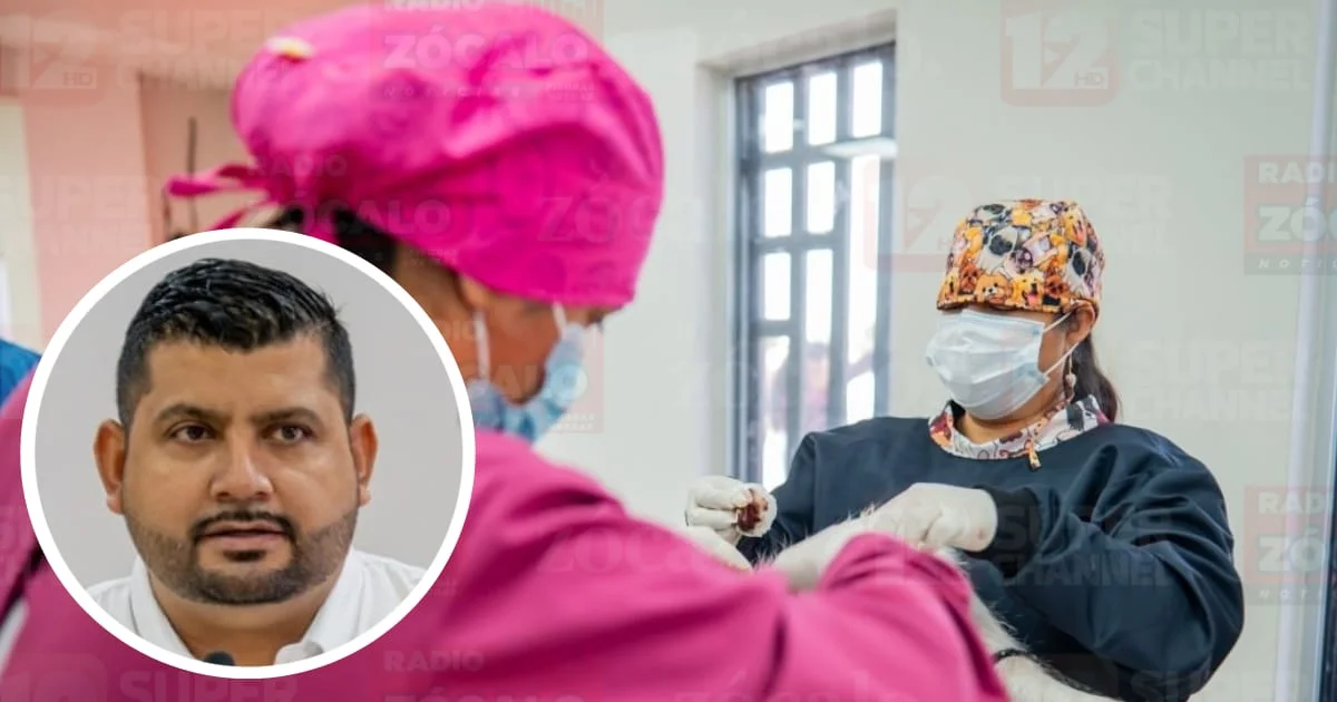 Municipio invita a campaña de esterilización canina para hembras