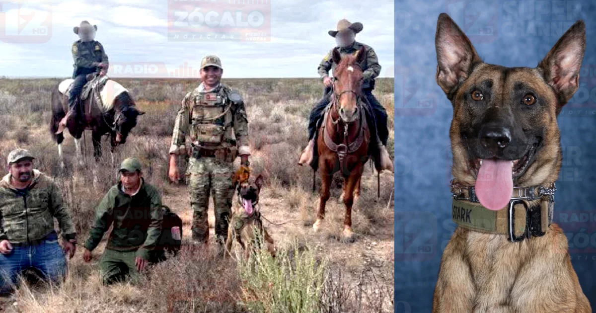 Agente canino recién graduado logra su primer rastreo en el condado de Maverick