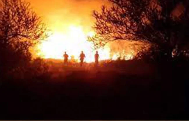 Las autoridades movilizaron en la mañana del domingo a veinticinco helicópteros para sofocar las llamas.