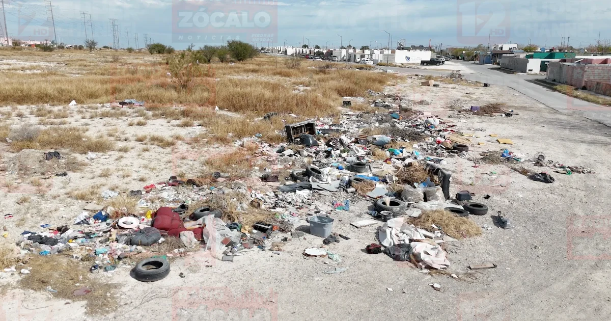 Proyecto nuevo (4).jpg