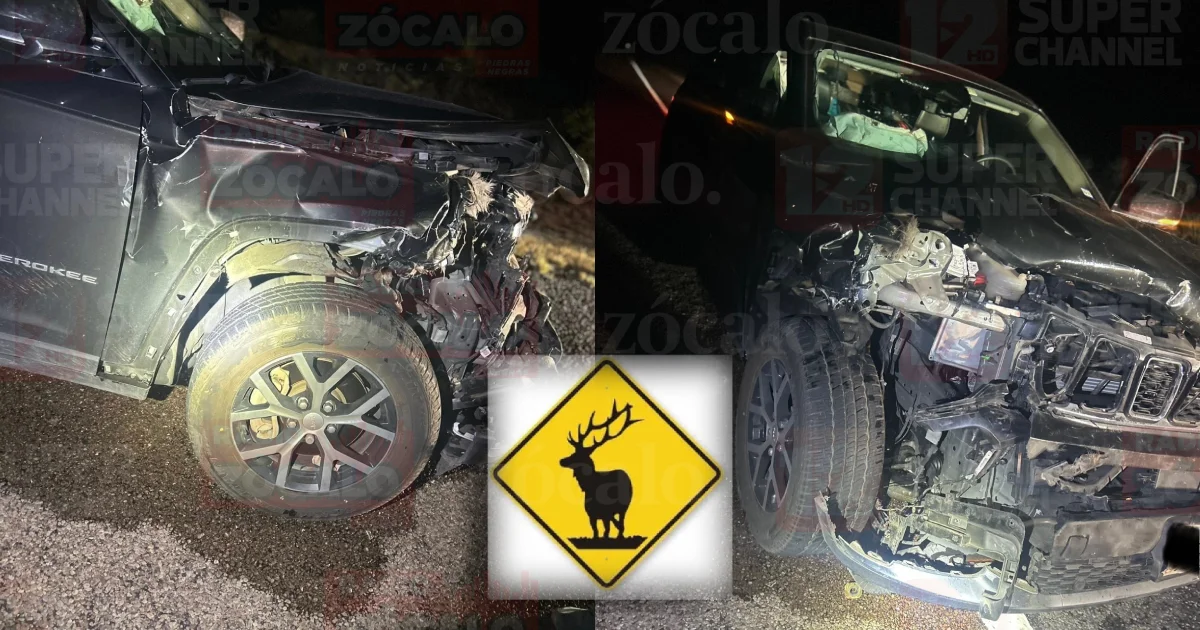 Alertan por cruce de animales y alto flujo de viajeros en carreteras de Texas