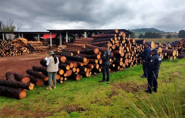 Diputados aprobaron reforma que amplía catálogo de delitos ambientales y aumenta penas; acusa Oposición falta de recursos para aplicar ley.