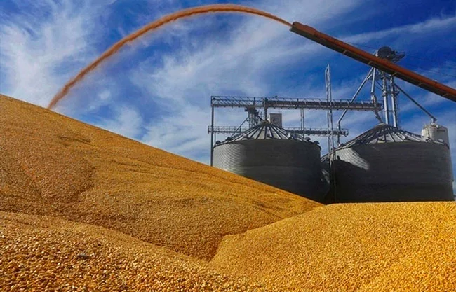 El Ministerio de Agricultura de Brasil se mostró conciliador, enfatizando que mantiene una "relación sólida y estratégica con China"