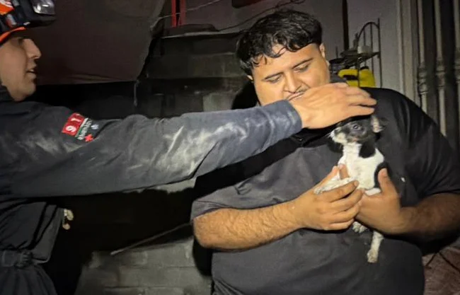 El cachorro fue puesto a salvo y entregado a su dueño, quien agradeció el apoyo de los elementos de Protección Civil antes de retirarse del lugar.