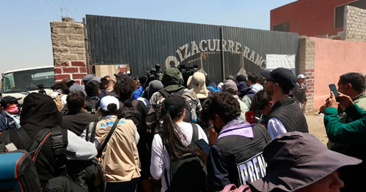 Cárteles reclutan a jóvenes con falsas ofertas en redes ante desamparo social y familiar