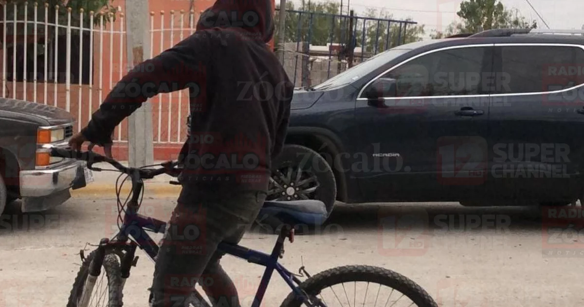 Sustraen carretilla de domicilio en la colonia Gobernadores