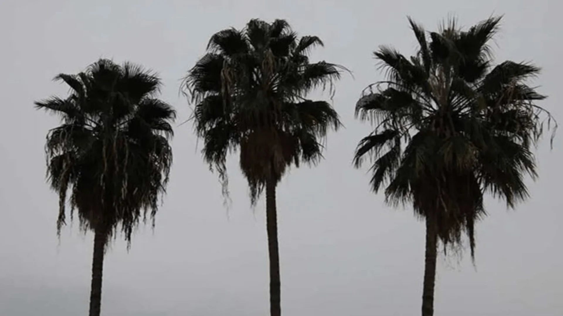 Te decimos cuál es el pronóstico del tiempo para Torreón, Saltillo, Coahuila y Durango este 2 de diciembre por condición climática.