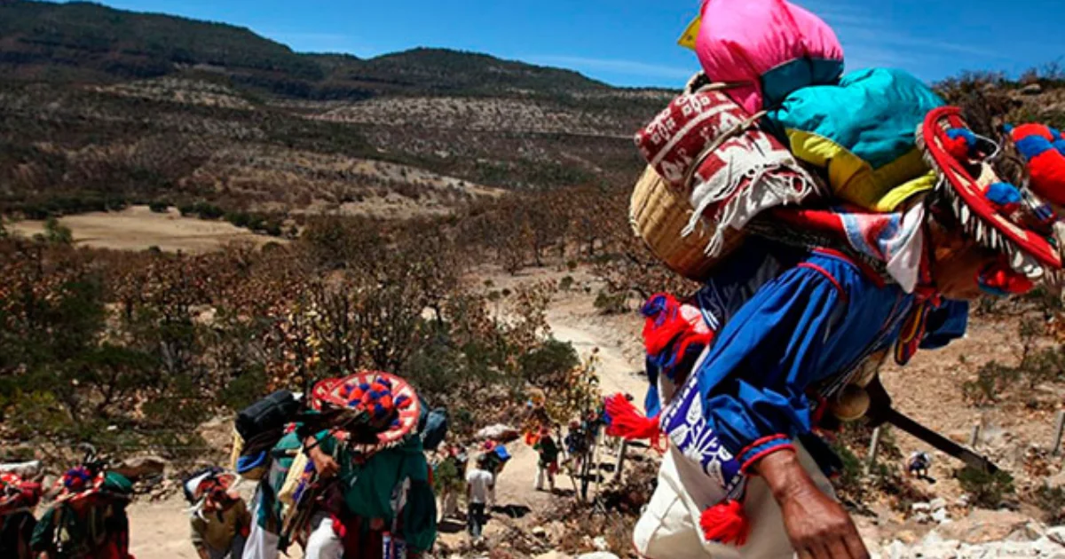 Wixárika exige al Gobierno Mexicano cancelar concesiones mineras en Wirikuta, zonas sagradas para ellos