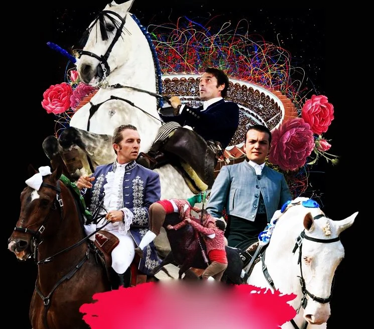 Este próximo domingo 7 de diciembre