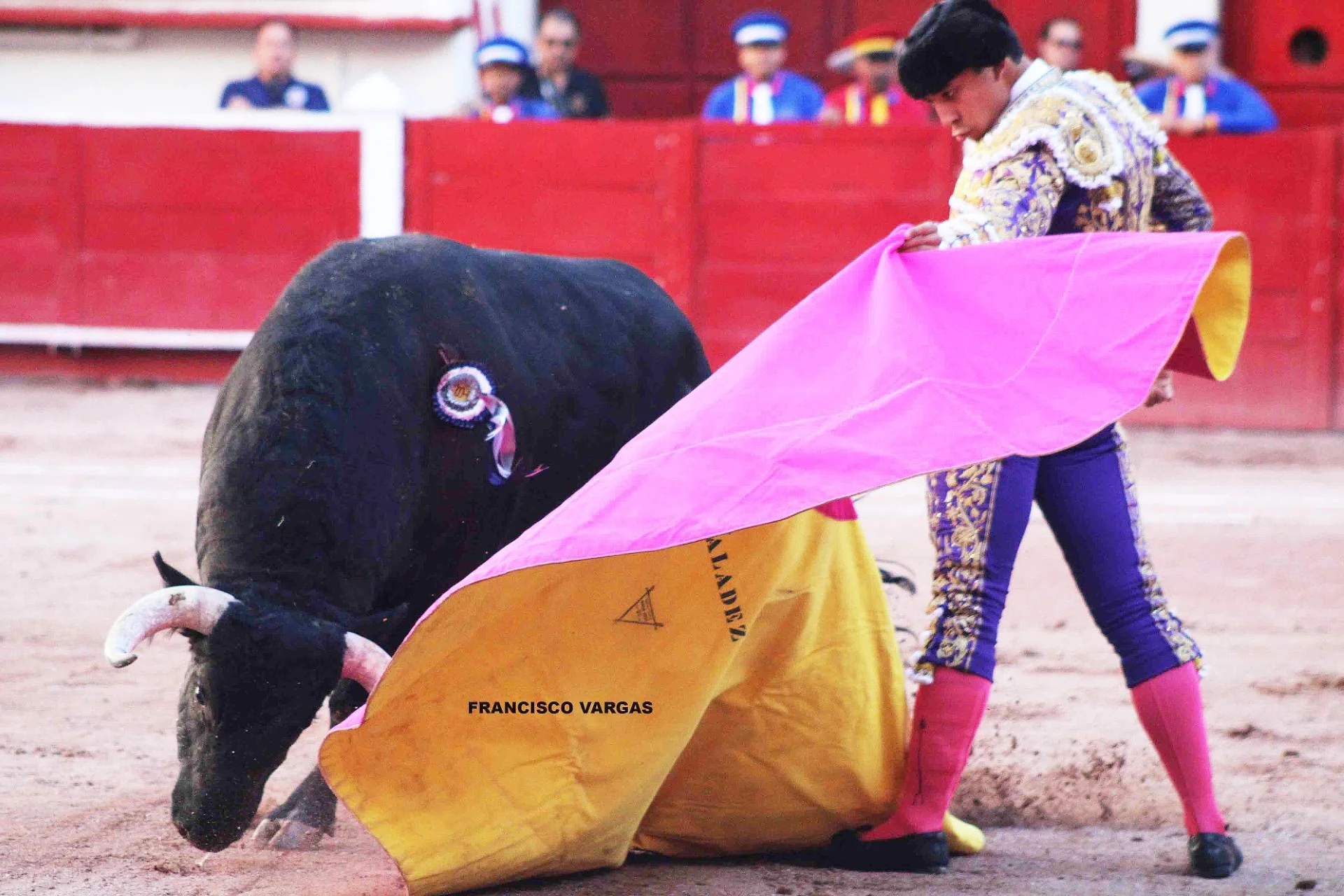 Se tienen programados siete atractivos festejos