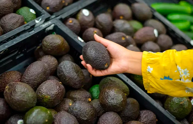 Van contra aguacate productores de EU; exigen restringir importación