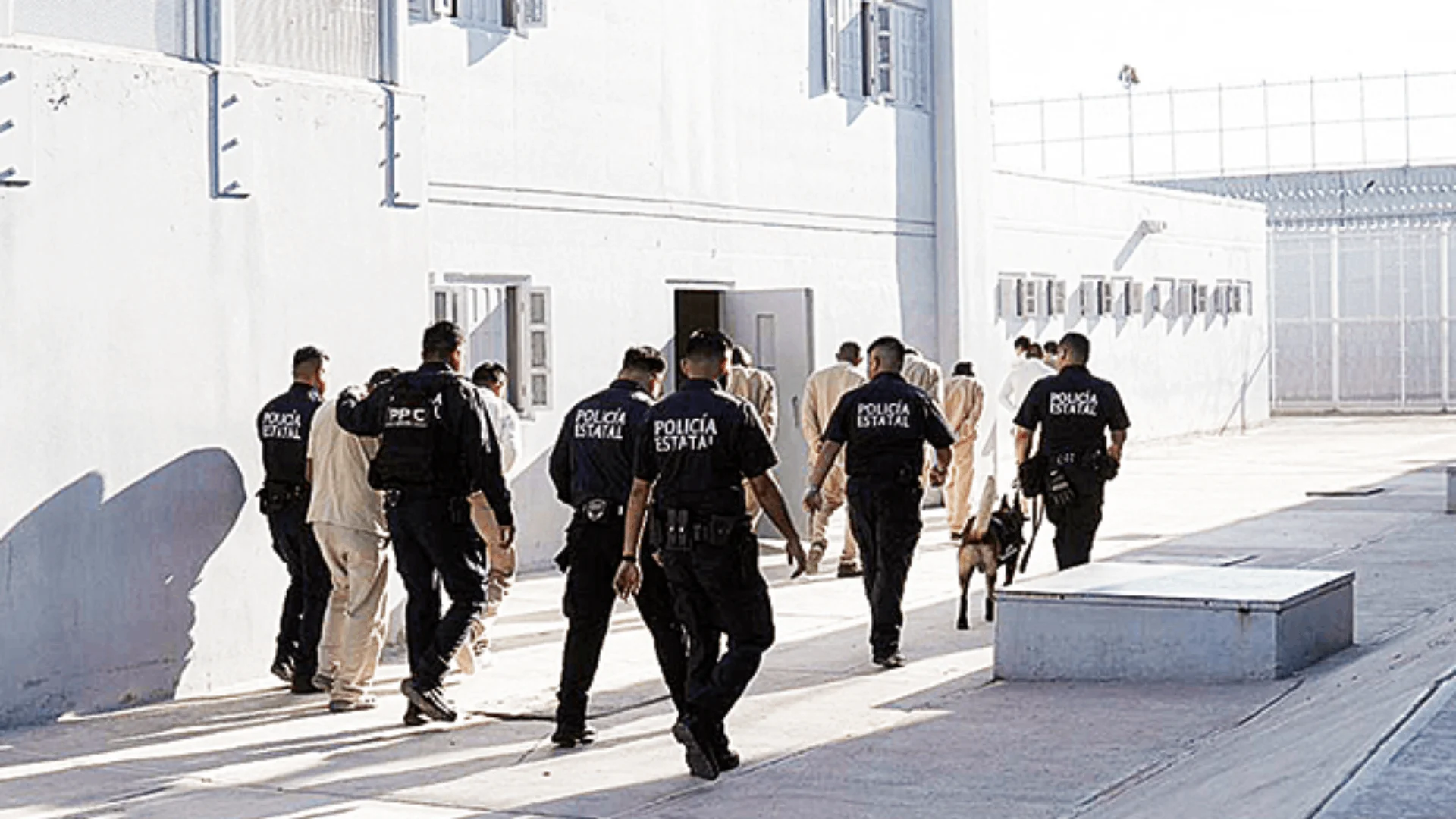 Dan libertad anticipada a ¡200 reclusos!