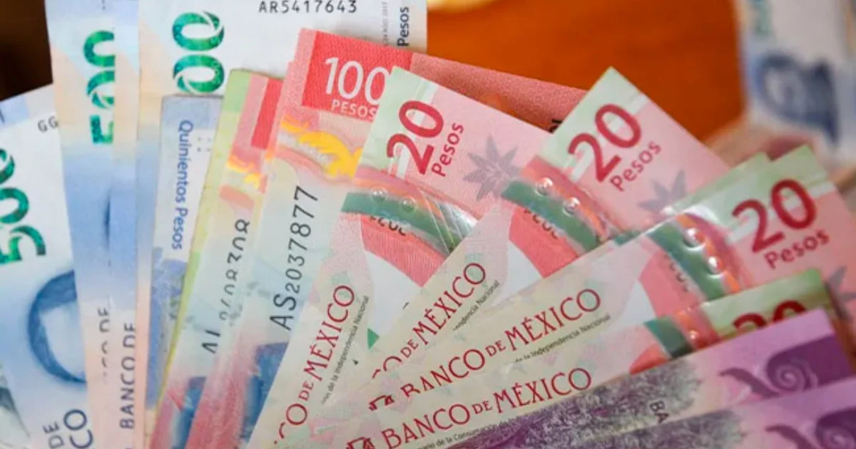 Entre los municipios que ya han solicitado el apoyo se encuentran Huejotzingo, Acatlán de Osorio, Zacapoaxtla, Cuetzalan y Tecali de Herrera