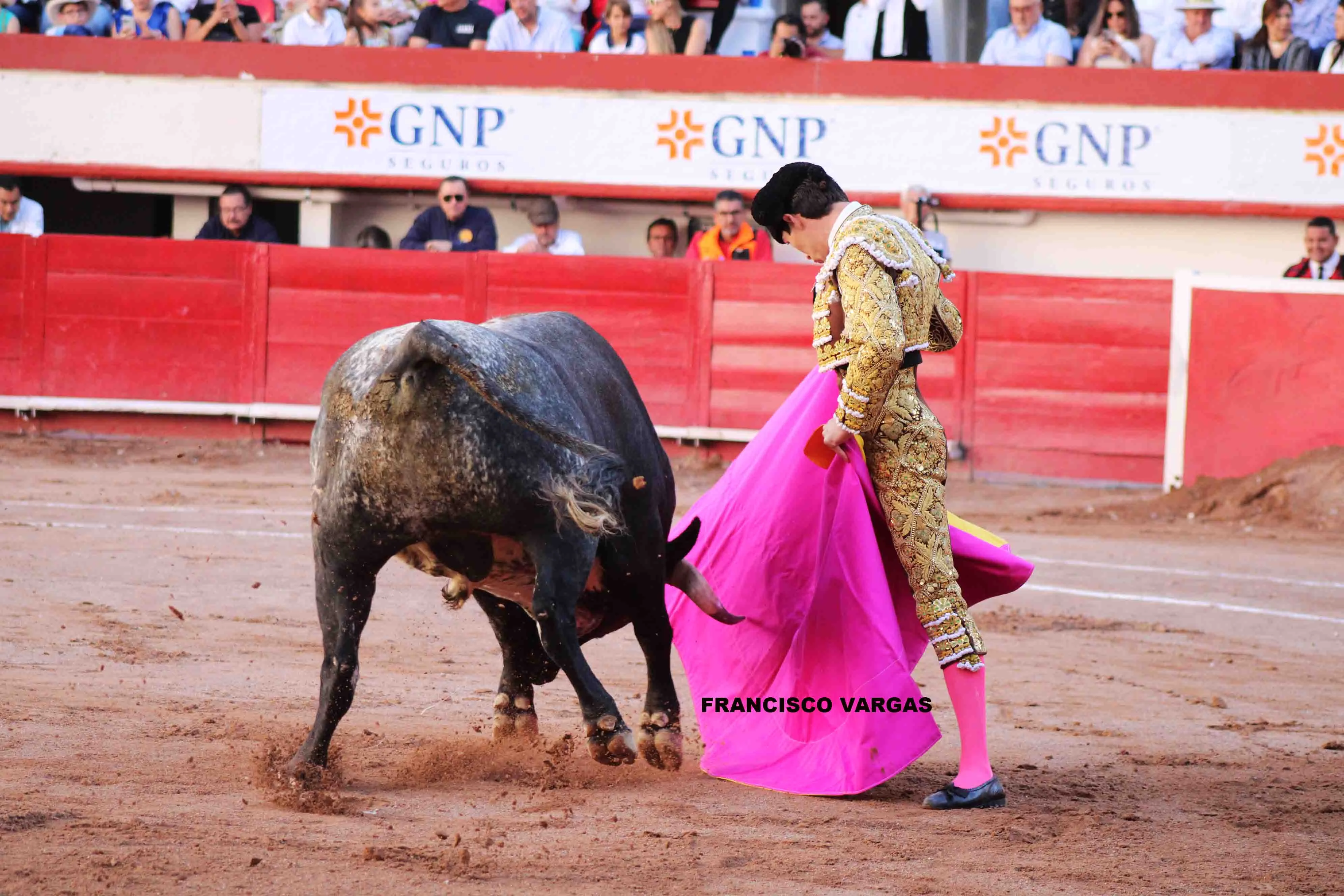 Se tienen programados 11 festejos