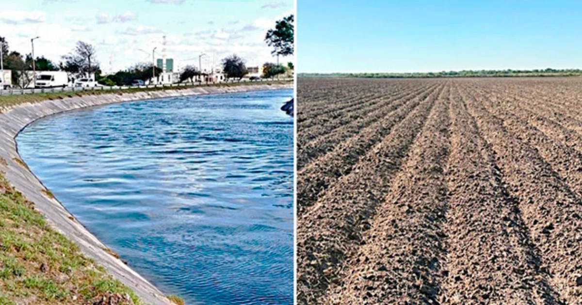 México envía agua a EU y deja sin riego al campo de Tamaulipas en plena temporada agrícola