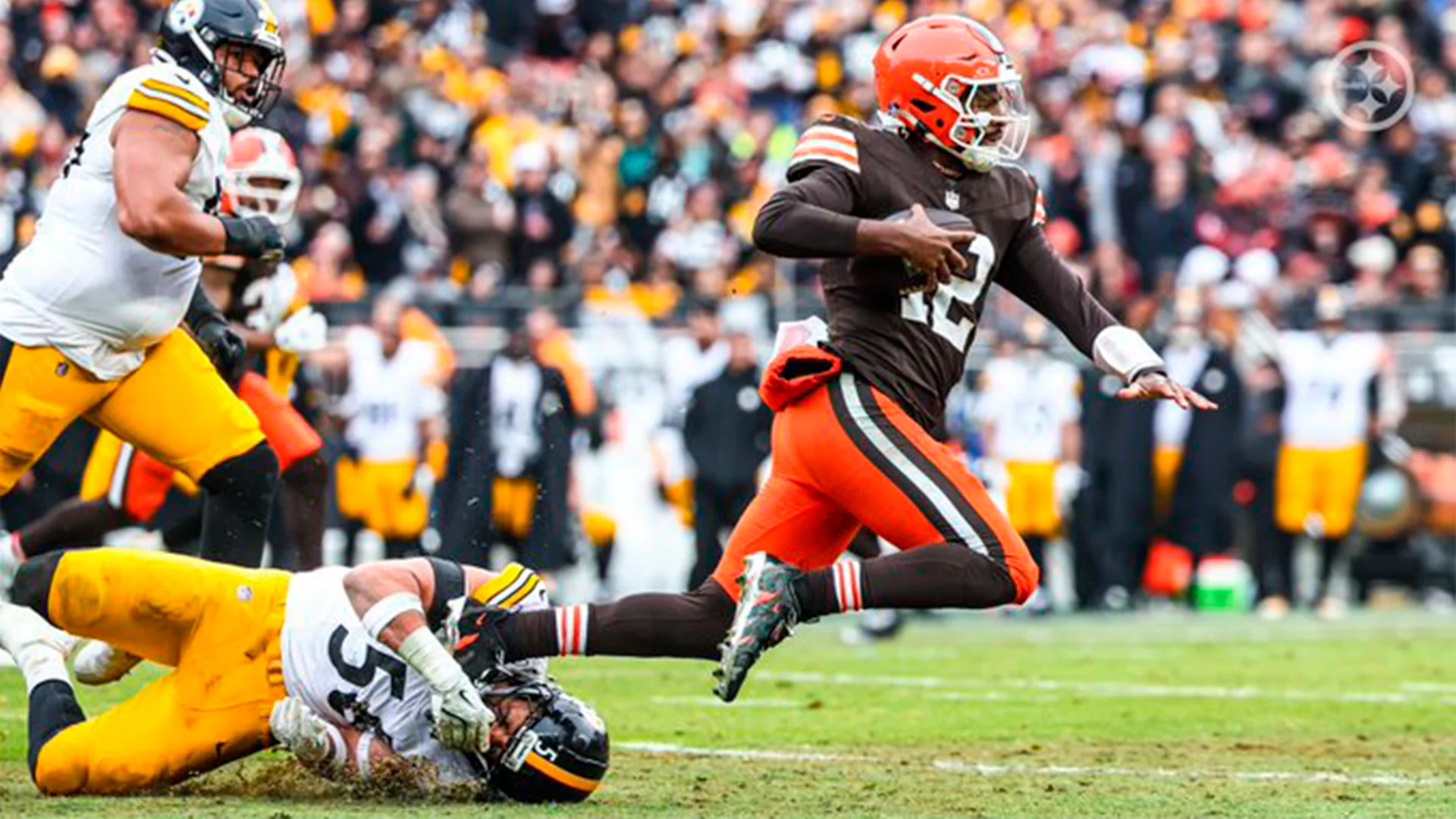 Quedan Acereros en la cuerda floja; se jugarán la vida ante los Cuervos