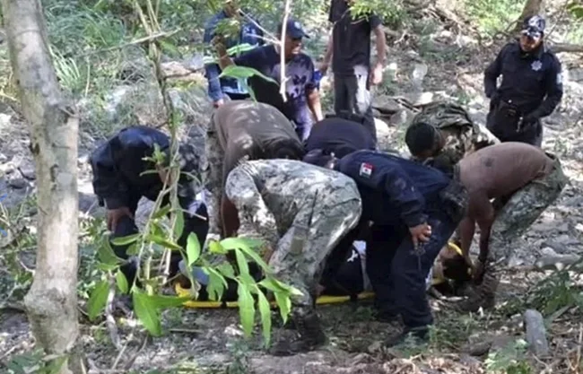 En un comunicado difundido este lunes, la UCIZONI llamó al Gobierno federal a investigar la calidad de los trabajos en la Línea Z