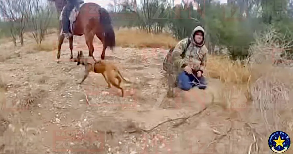 Binomio canino del DPS de Texas rastrea y detiene a dos personas ocultas en terreno denso del condado de Maverick, cerca de la frontera.