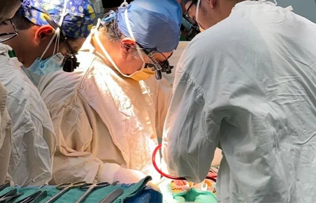 Los retos para la donación de órganos en México: 18 mil 912 personas esperan un trasplante