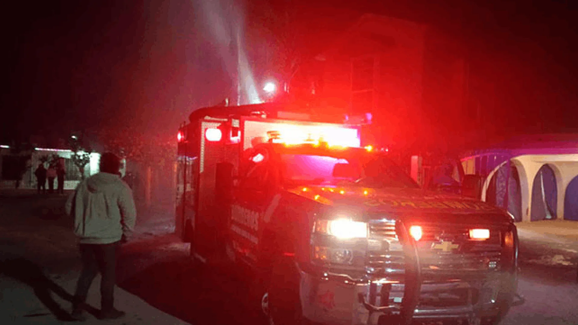 Solo se recibió el reporte de que se estaba quemando una palma por consecuencia de pirotecnia