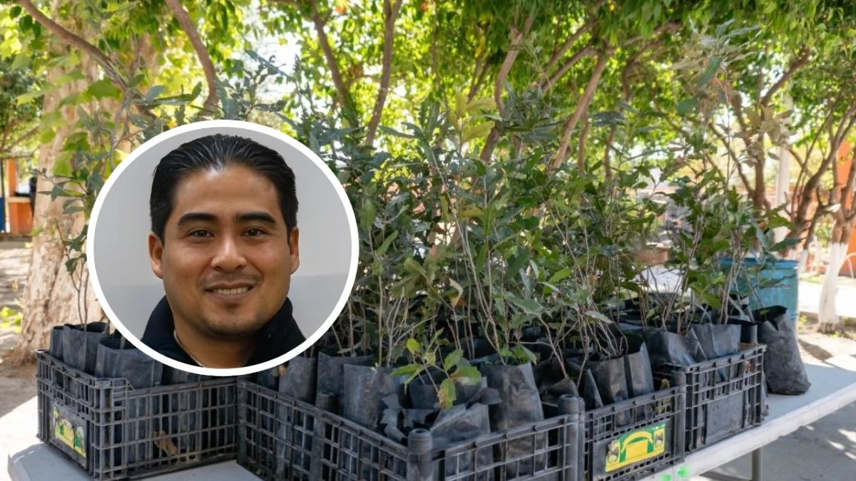 Inician trabajos de poda y mantenimiento para próxima reforestación