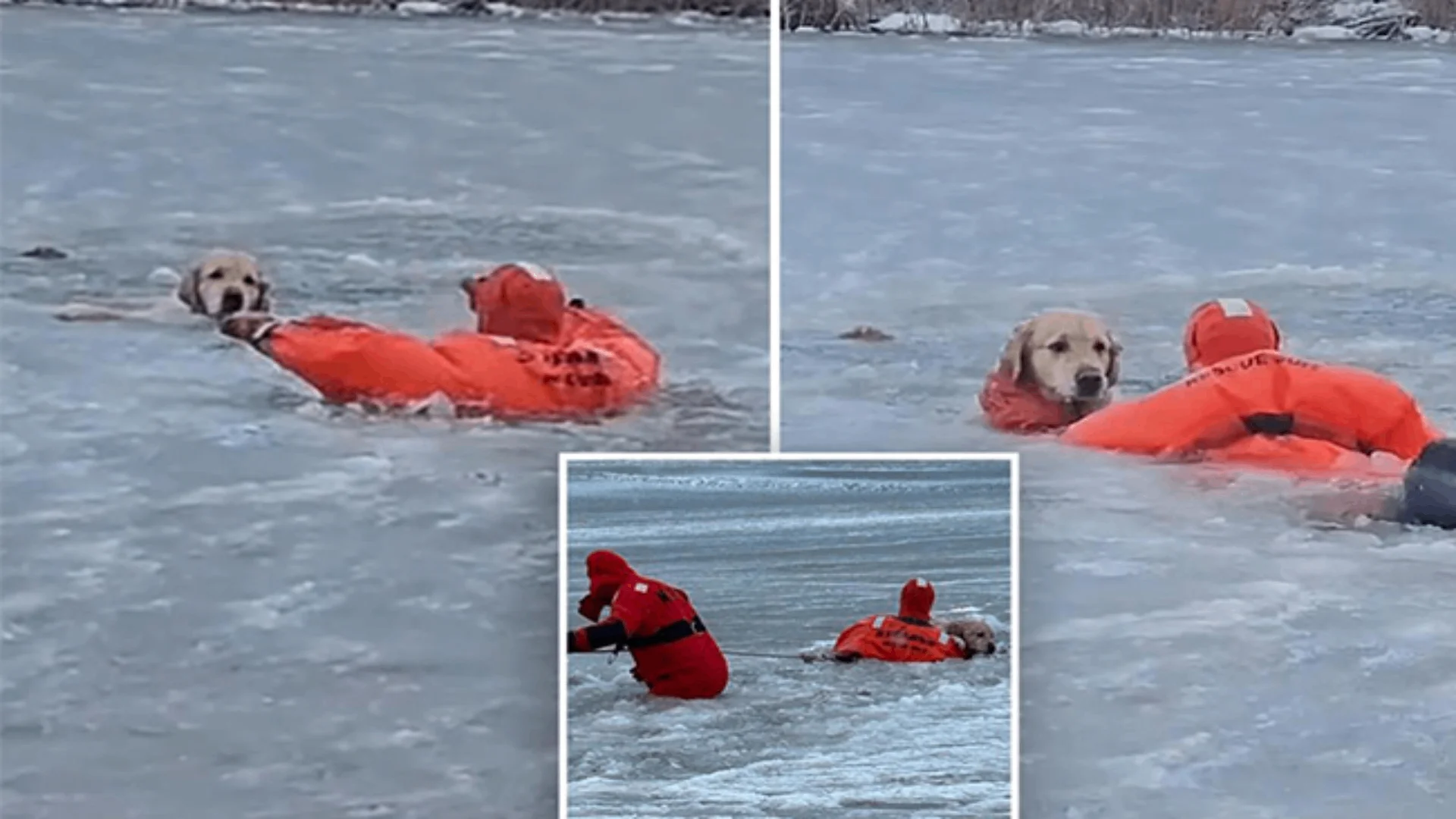 Un perro cayó a un estanque congelado en Rhode Island durante Año Nuevo y fue rescatado por bomberos en un operativo de alto riesgo captado en video.