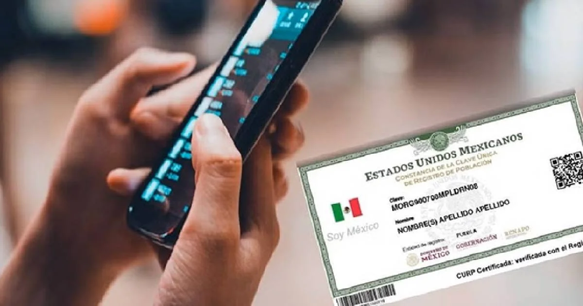Inicia el registro de celulares a la CURP: Todo lo que debes saber paso a paso