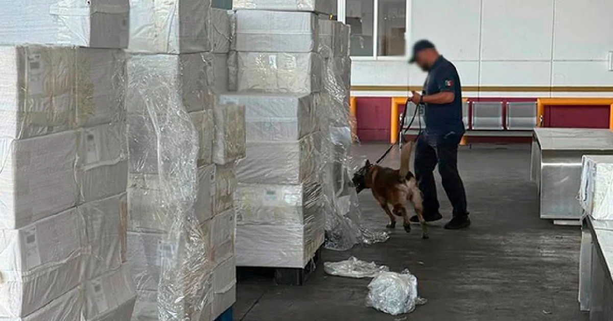 A pesar de no señalarse a presuntos responsables, existen antecedentes que vinculan al CJNG con el contrabando y la venta clandestina de cigarrillos