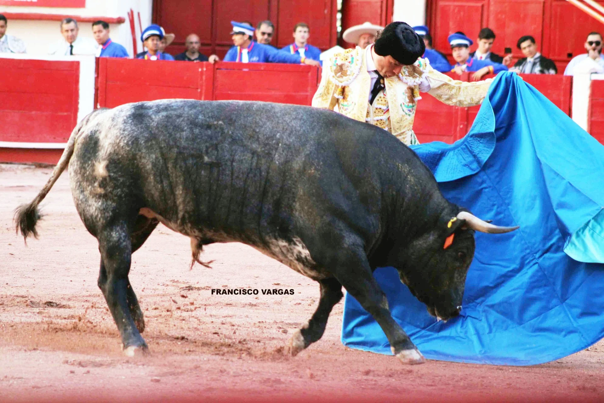 Interesante y agradable la Jornada Taurina para esta Semana