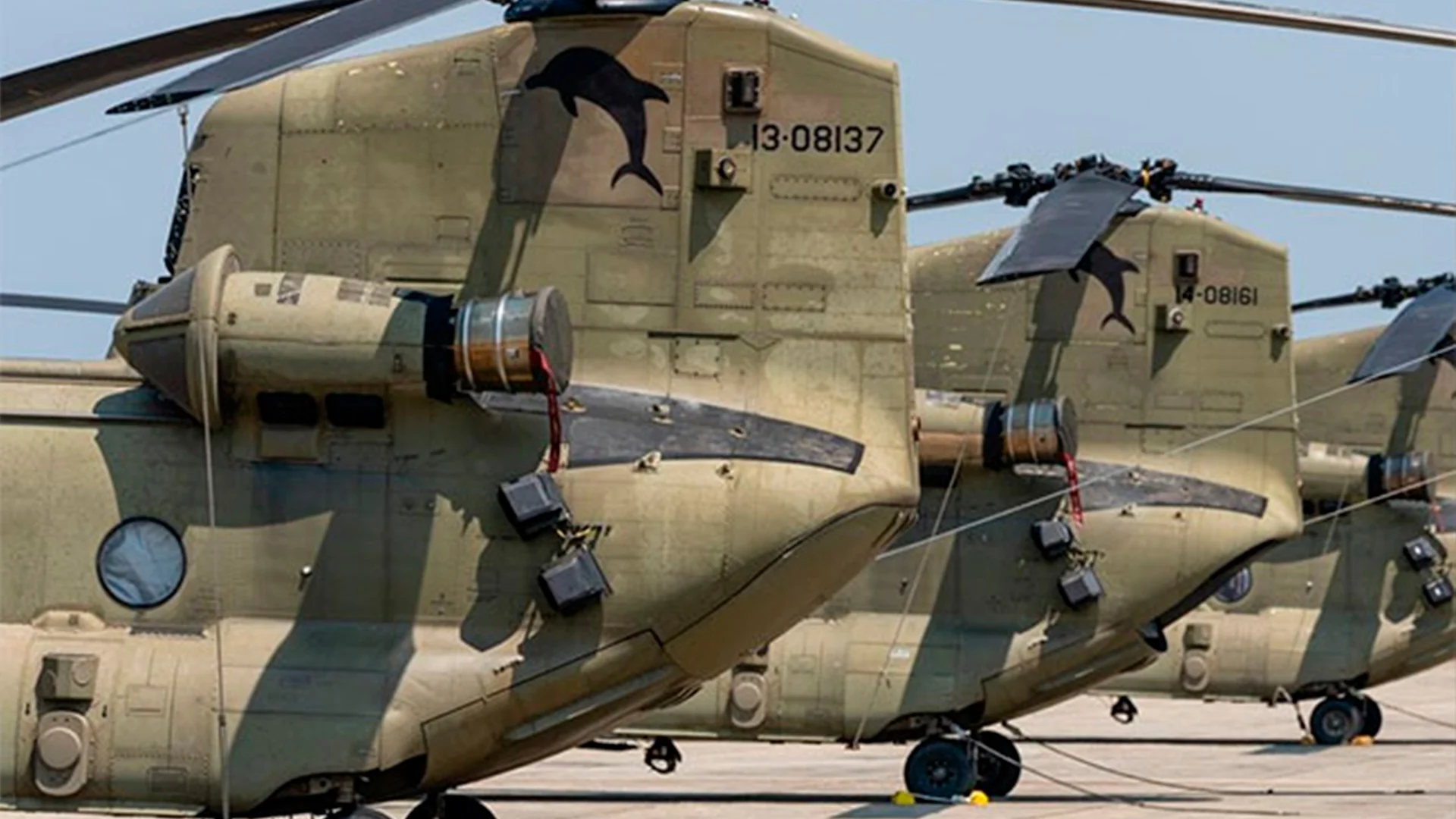 The New York Times reveló que ya existe una colaboración entre militares y Washington presiona para que se amplíe.