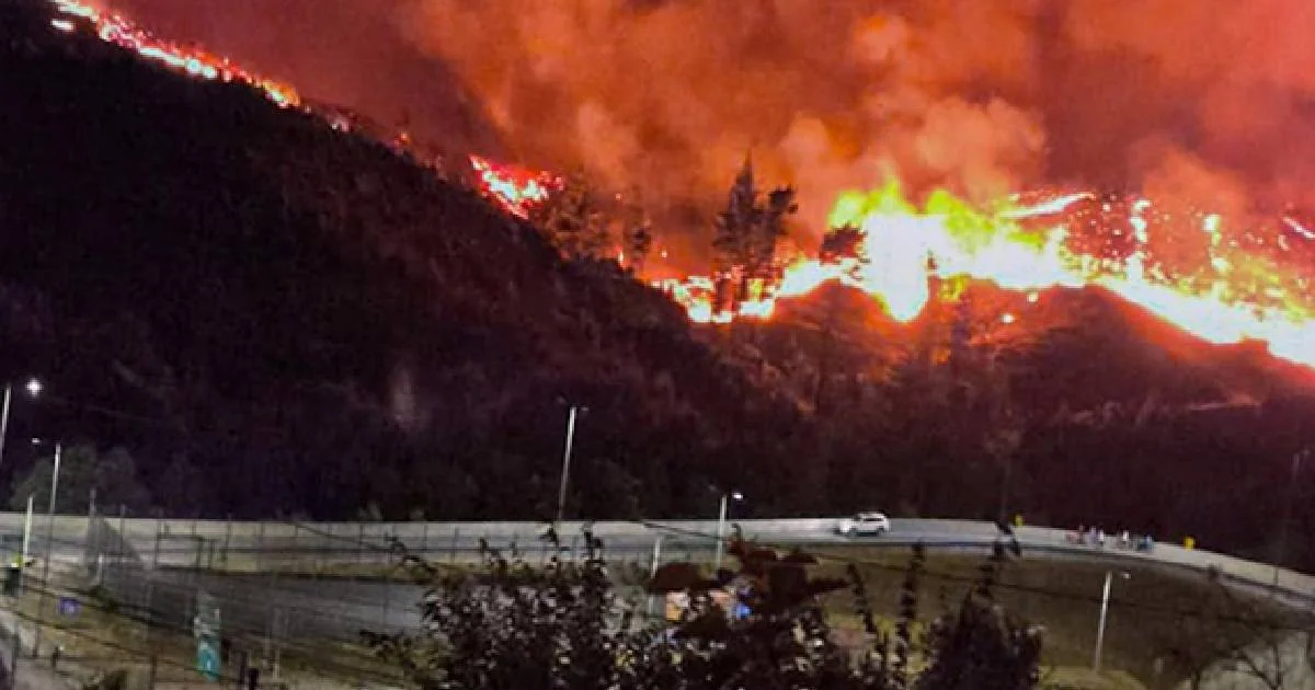 Incendios forestales arrasan comunidades enteras en Chile; gobierno decreta ‘estado de catástrofe’