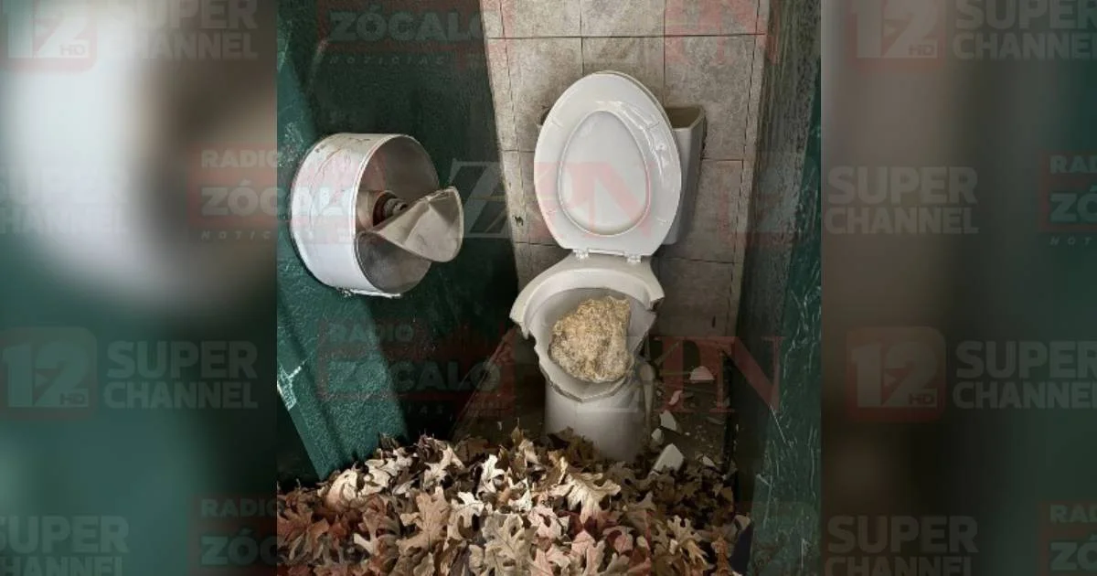 No hay pistas de vándalos de baños del Nick Carr Park