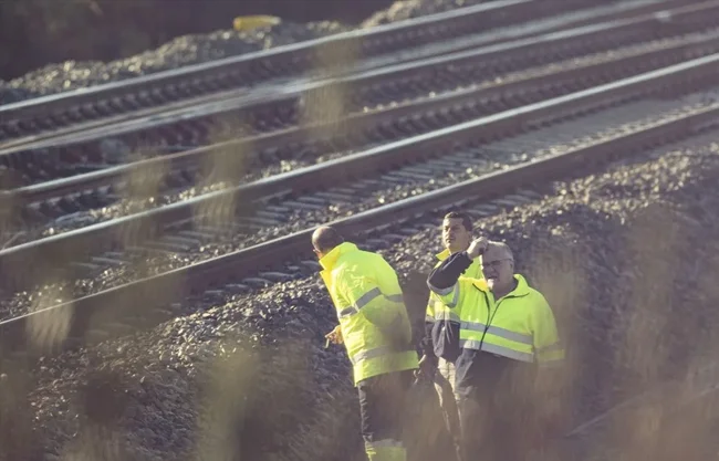 El presidente de Pacma, Javier Luna, ha explicado en un comunicado que el perro viajaba con su familia en uno de los vagones descarrilados del tren