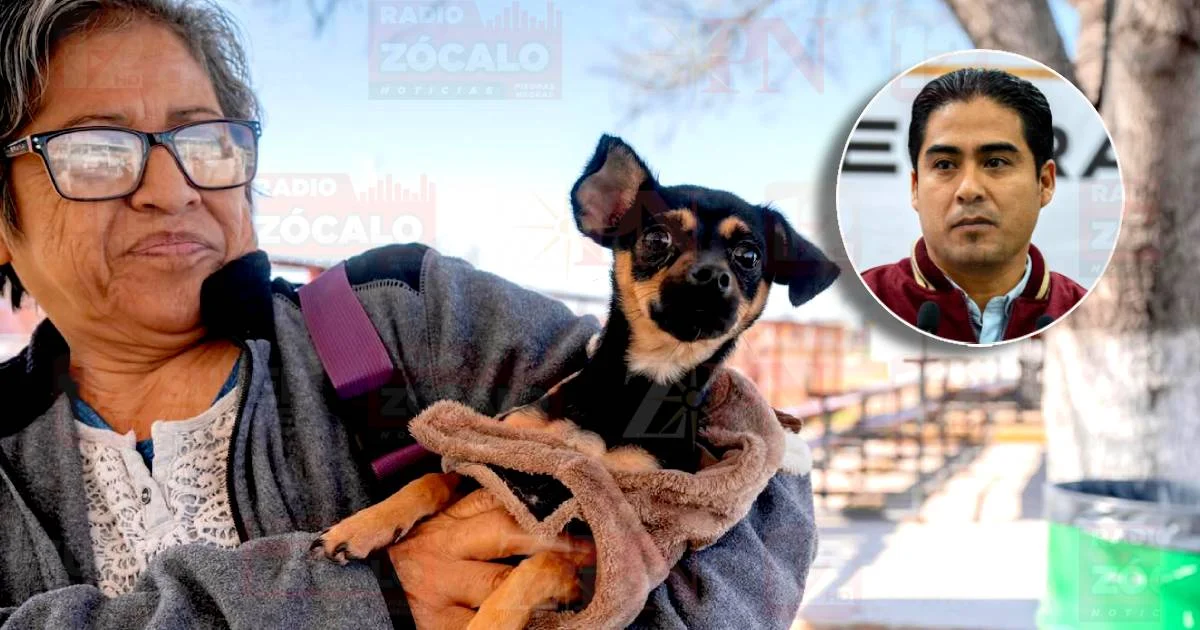 Exhorta Imagen Urbana y Ecología a proteger mascotas y plantas del intenso frío