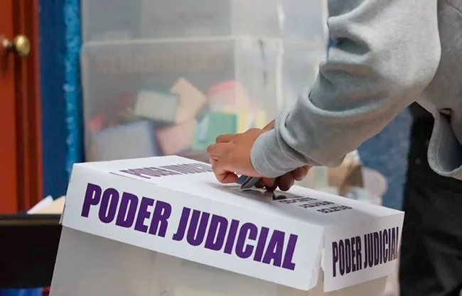 De acuerdo con el contrato, publicado en la página del INE, se le adjudicó de manera directa el trabajo gráfico a Gilberto Solís Mendívi