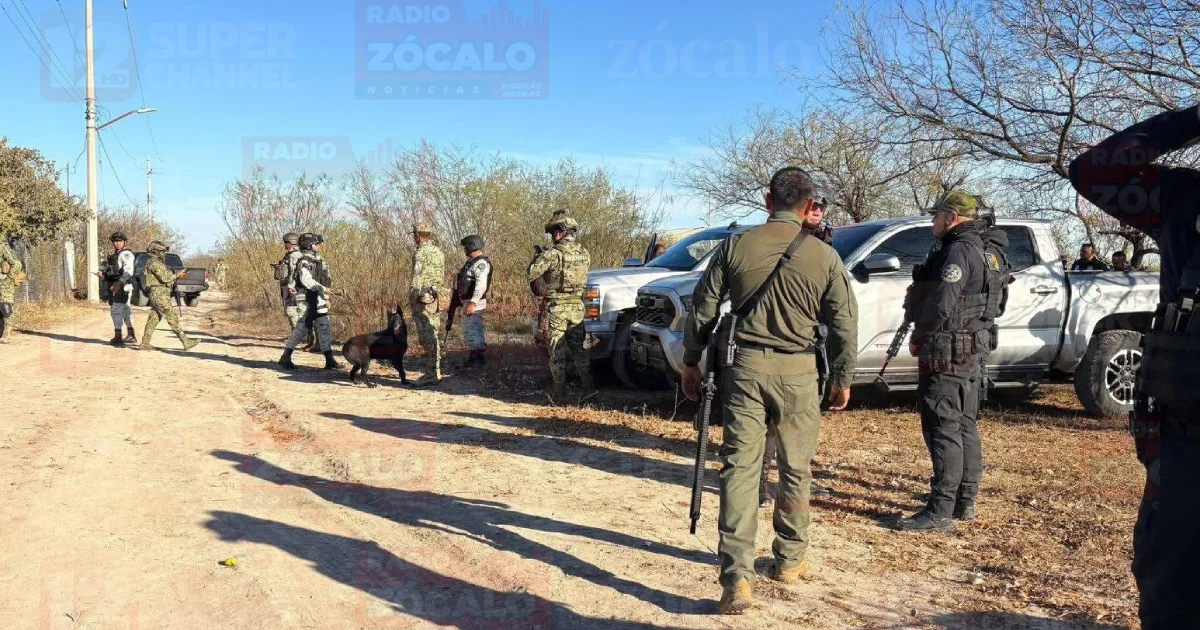 Operativo conjunto logra aseguramiento de 26 kilos de marihuana