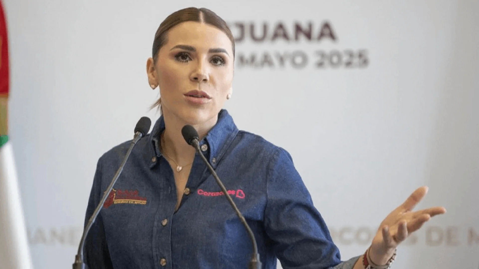 De manera respetuosa, solicitaron que la gobernadora “solicite licencia y se separe temporalmente del cargo mientras la investigación se esclarece”.