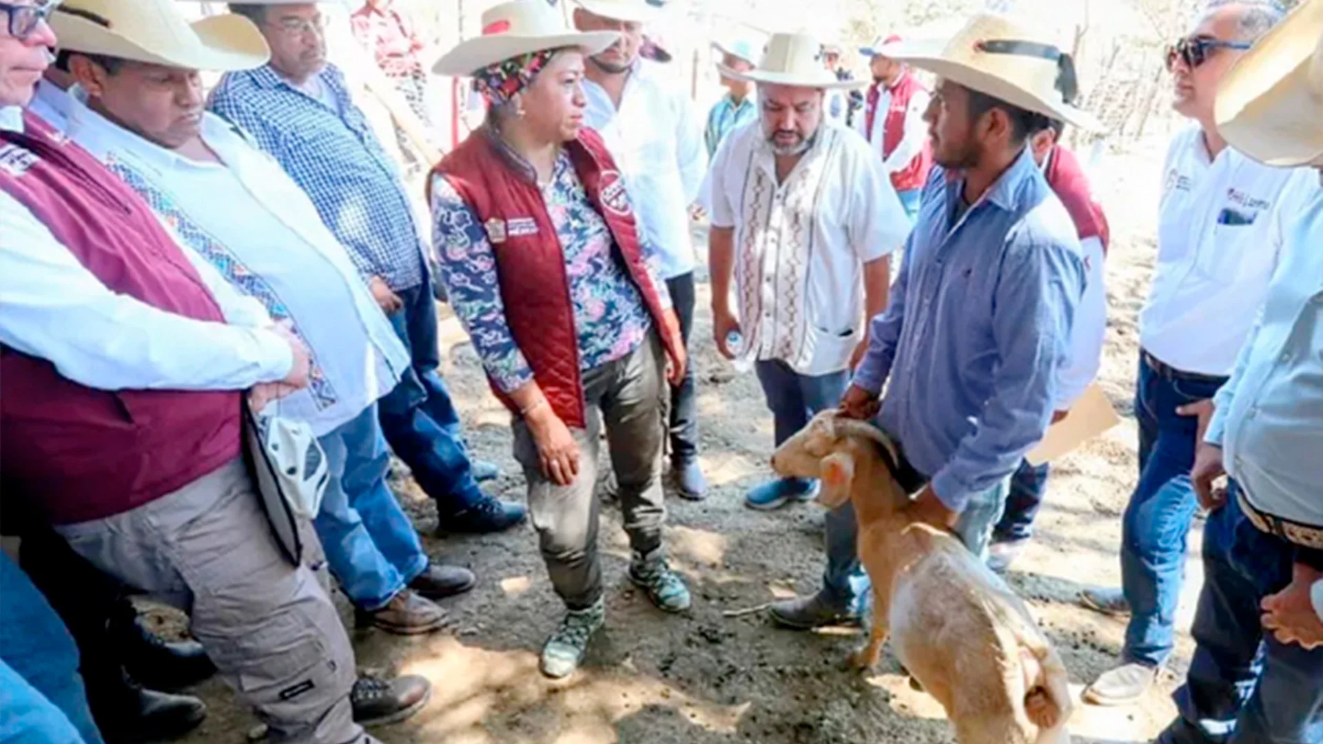 Siguen en ascenso reportes de gusano barrenador en Edomex; suman 27 casos activos